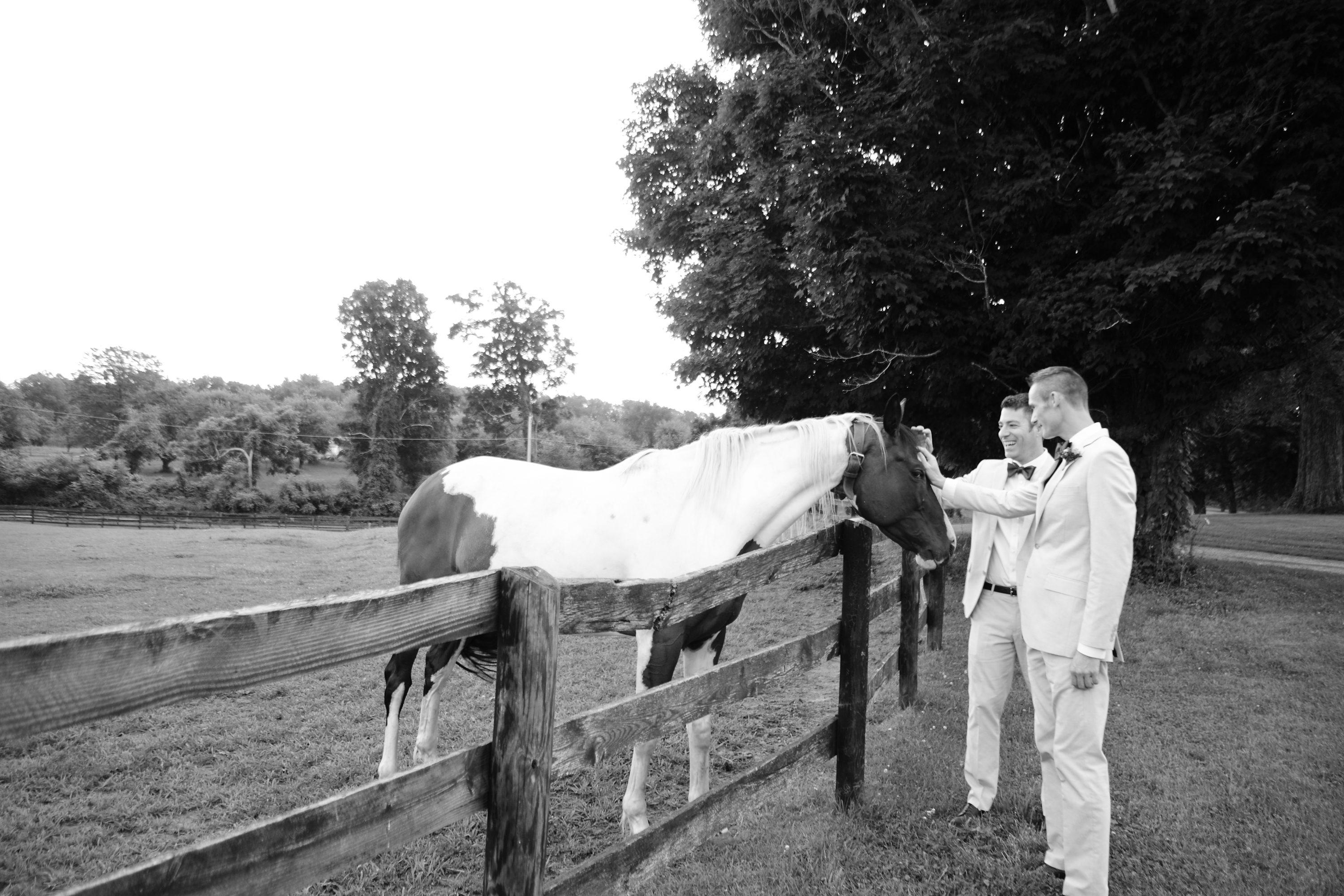 Daniel and Sune Marry at Tralee Farms in Stone Ridge - Hudson Valley ...