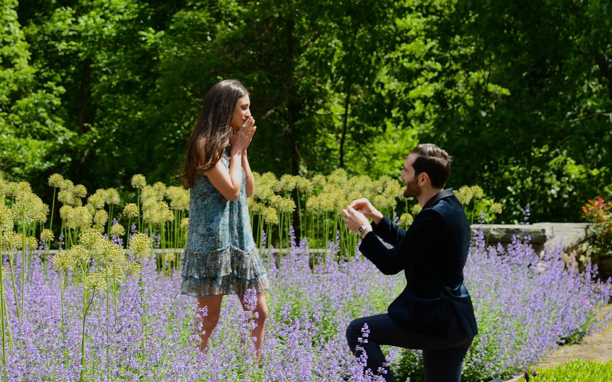 Follow the rose pathway - to an Epic Proposal