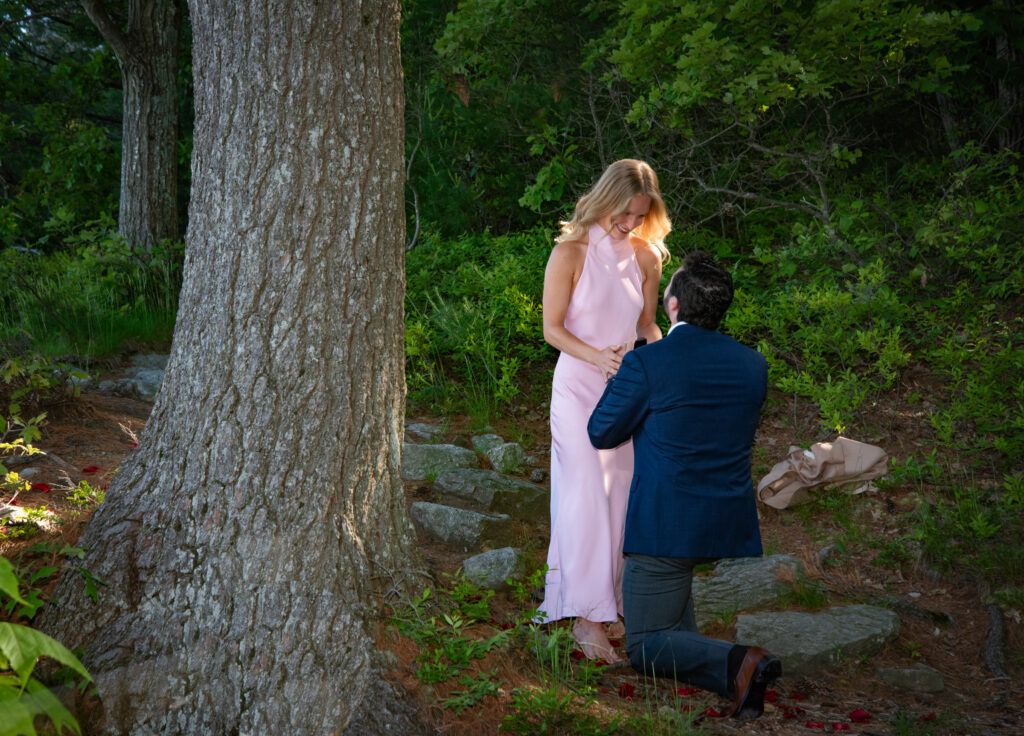 Mohonk Mountain Proposal